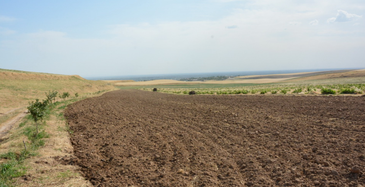 Станет ли земля в Узбекистане рыночным активом?