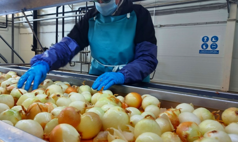 Узбекистан разрешит переработку продукции прямо на фермах