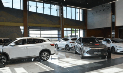 Авторынок Узбекистана: рост продаж иномарок и электрокаров