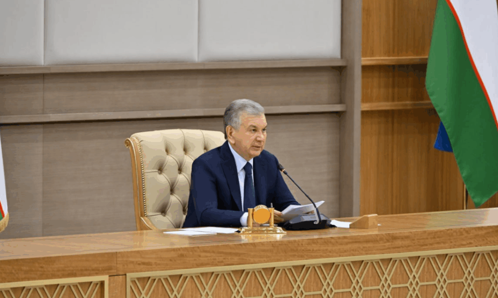 Снижение налогов: поддержка бизнеса от президента