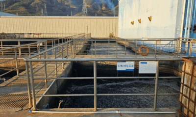 Как EcoVkuz вырос из кухни в бренд натуральных сладостей