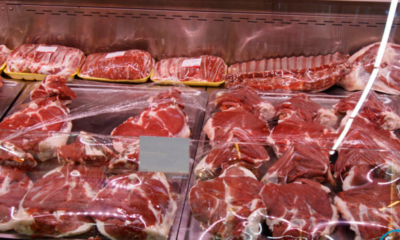 Узбекистан и Афганистан укрепляют аграрное партнёрство